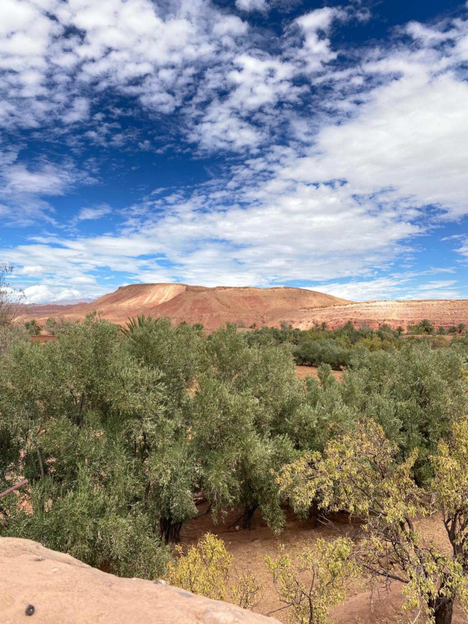 Dar Adiafa Dar Asalam Hotel Ait Benhaddou Buitenkant foto